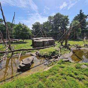 "Atlas mountains" - walkthrough barbary macaque enclosure