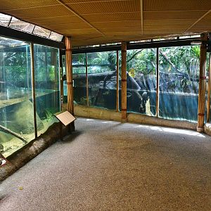 Revamped reptile exhibits