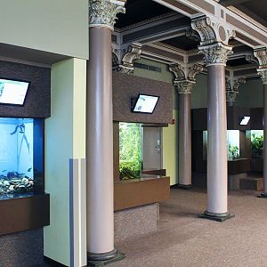 Overview - Herpetarium