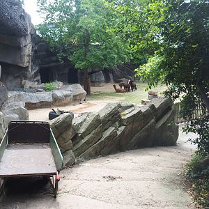 Alpaca paddock and keeper area, 2022-05-26