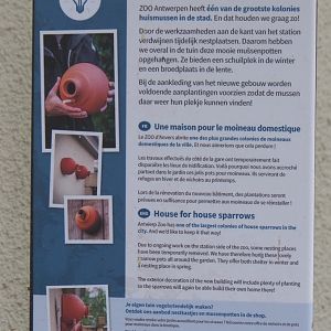 House sparrow nesting pots signage, 2022-05-26