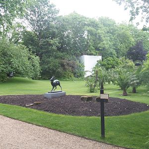 Congo lawn, now with seasonal tropical plants and empty flower bed, 2022-05-26