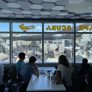 View of Seal and Sea Lion training through Cafe Scuba