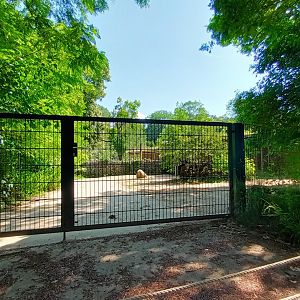 Ostrich sepperation Paddock