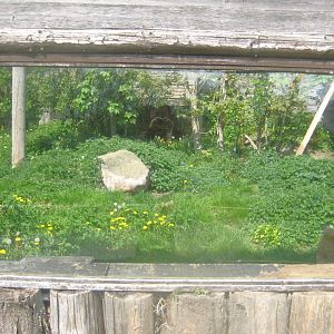 Odsherred Zoo - Lynx exhibit