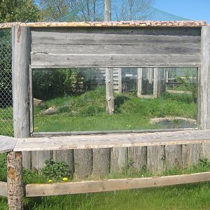 Odsherred Zoo - Serval exhibit