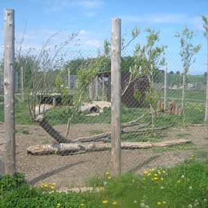 Odsherred Zoo - Fox exhibit