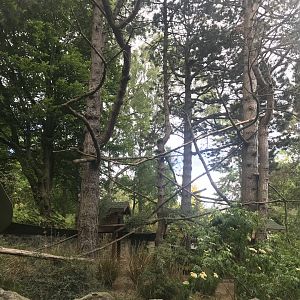 Red panda enclosure