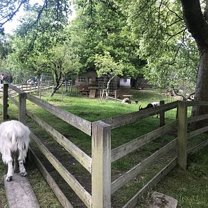 Bagot goat enclosure