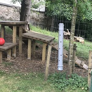 Bagot goat enrichment