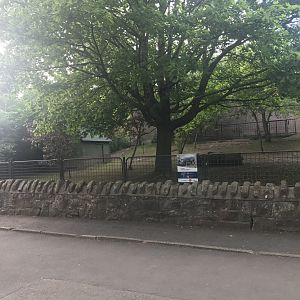 Pygmy hippo separation area