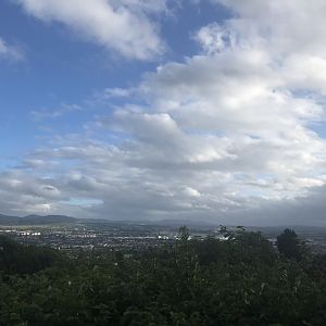 View from hilltop viewpoint