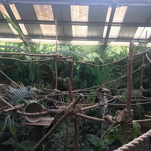 Two toed sloth enclosure