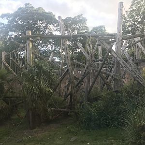 Budongo Trail- Chimpanzee enclosure