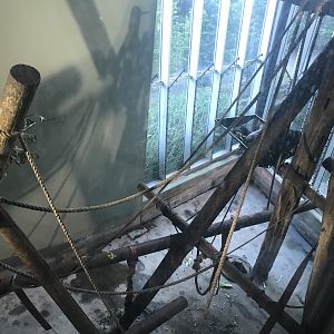 Budongo Trail- Chimpanzee indoor pod 3 (2)