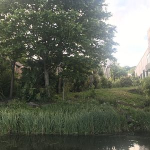 Budongo Trail- Chimpanzee enclosure with moat