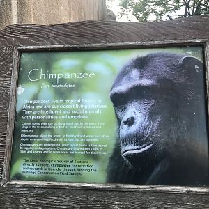 Budongo Trail- Chimpanzee signage