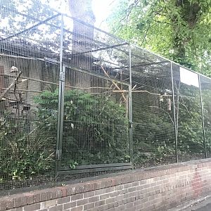 Millitary macaw aviary