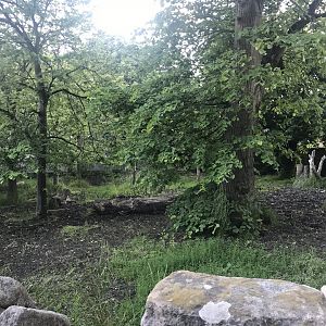 Former Malayan tapir enclosure