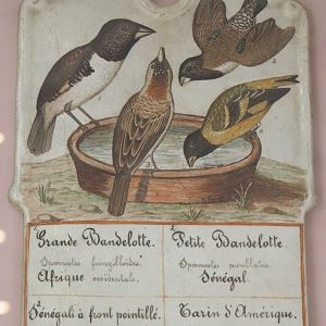 Old sign for songbirds, 2022-05-26