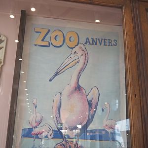 Old Zoo Antwerpen poster, 2022-05-26
