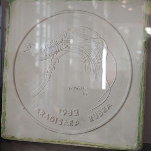 Unknown object with Red bird-of-paradise artwork, 2022-05-26