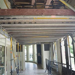 Renovation work in the entrance hall of the bird house, 2022-05-26