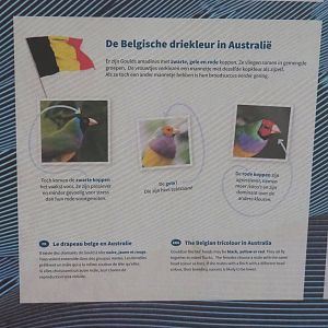 Gouldian finch colors signage, 2022-05-26