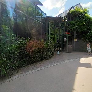 Tiger and Nocturnal House