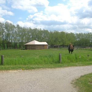 Odsherred Zoo - Camel exhibit