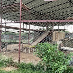 Thompson Big Cat Habitat