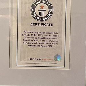 Guinness World Record Plaque for Raven