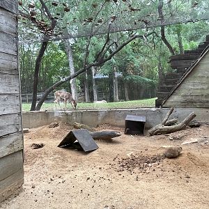 Tornado House Outlook