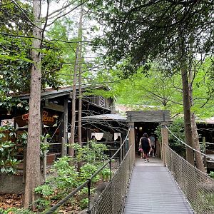 Texas Wild! Four Exhibits