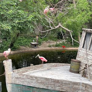 Gulf of Mexico Aviary