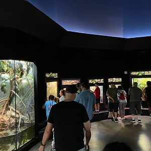 Museum of Living Art (MOLA) Interior