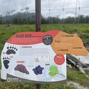 Black Bear Information Sign