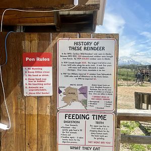 Reindeer Information Sign