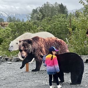 Interesting comparative Bear Display