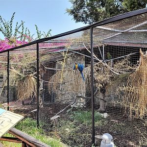 Macaw exhibit