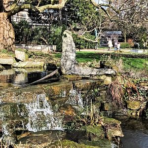 Southern elephant seal statue