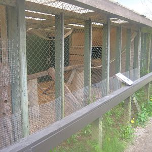 Odsherred Zoo - Coati exhibit