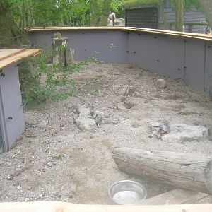 Odsherred Zoo - Meerkat exhibit