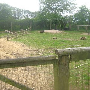 Odsherred Zoo - Petting exhibit
