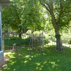 Monkey Heights, June 2022