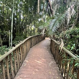 View in Forest Floor Section