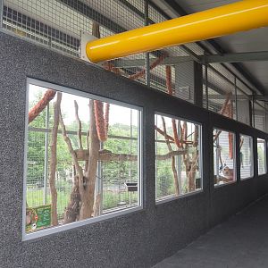 Macaw and curassow outdoor aviary, 2022-05-17