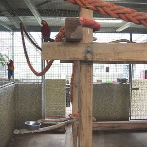 Macaw and curassow indoor aviary, 2022-05-17