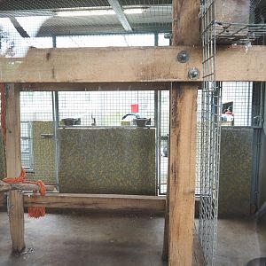 Macaw and curassow indoor aviary, 2022-05-17