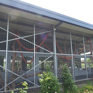 Macaw and curassow aviary, 2022-05-17